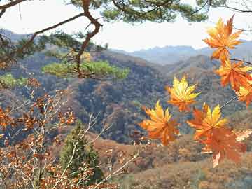 丰田威驰怎么样（丰田威驰怎么样2014年的）